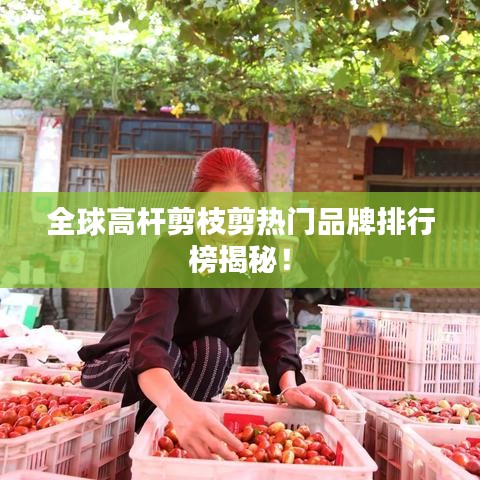 全球高桿剪枝剪熱門品牌排行榜揭秘！