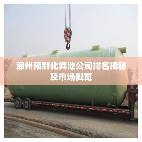 潮州預(yù)制化糞池公司排名揭秘及市場概覽