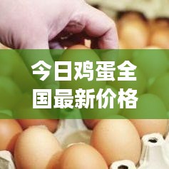 今日雞蛋全國(guó)最新價(jià)格走勢(shì)分析及未來(lái)展望