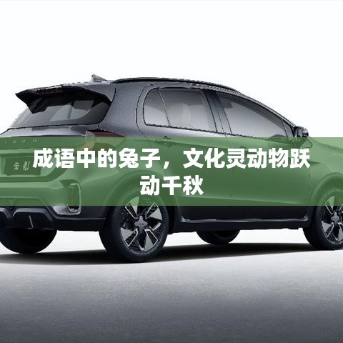 成語(yǔ)中的兔子，文化靈動(dòng)物躍動(dòng)千秋