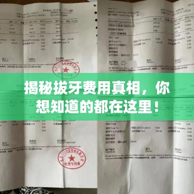 揭秘拔牙費(fèi)用真相，你想知道的都在這里！