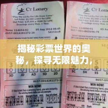 揭秘彩票世界的奧秘，探尋無限魅力，掌握T天下彩的秘訣（百度收錄）