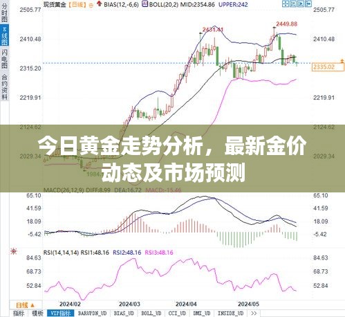 今日黃金走勢分析，最新金價動態(tài)及市場預(yù)測