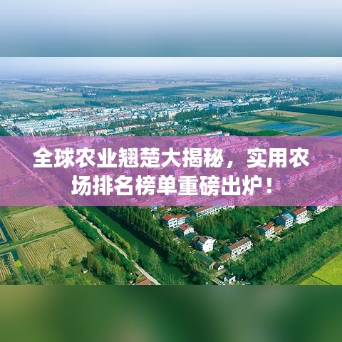 全球農(nóng)業(yè)翹楚大揭秘，實(shí)用農(nóng)場排名榜單重磅出爐！
