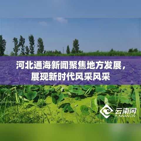 食而不化 第3頁