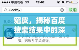 貂皮，揭秘百度搜索結(jié)果中的深度解讀