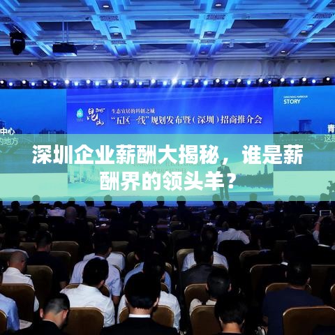 深圳企業(yè)薪酬大揭秘，誰是薪酬界的領(lǐng)頭羊？