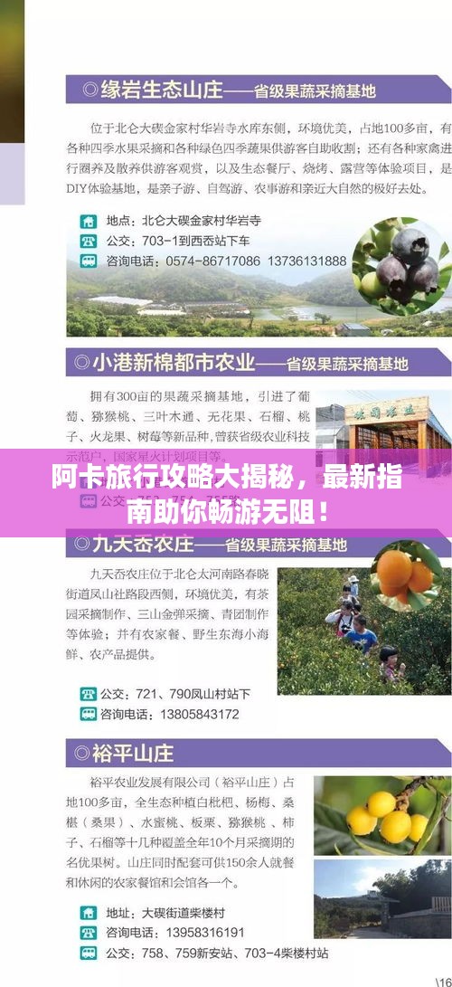 阿卡旅行攻略大揭秘，最新指南助你暢游無阻！