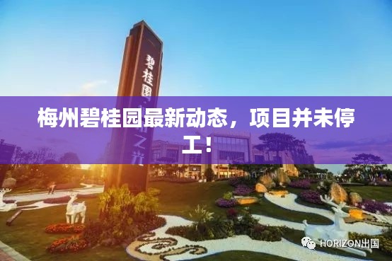 梅州碧桂園最新動(dòng)態(tài)，項(xiàng)目并未停工！