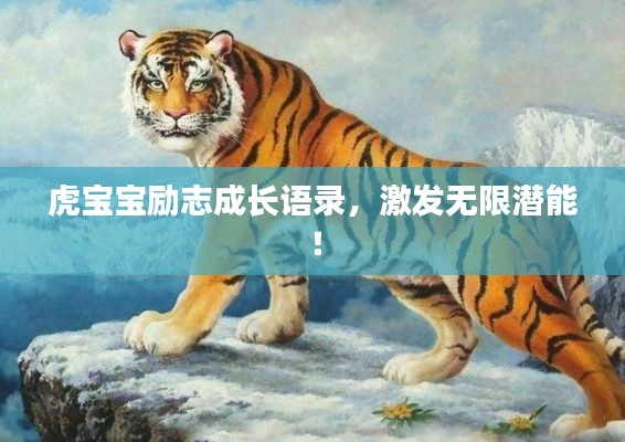 虎寶寶勵志成長語錄，激發(fā)無限潛能！