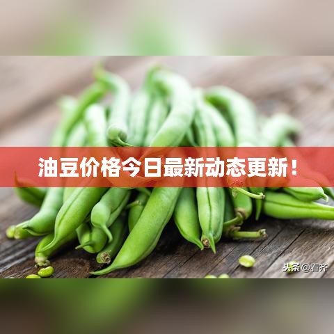 一毫不茍 第2頁