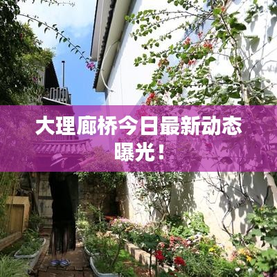 大理廊橋今日最新動態(tài)曝光！