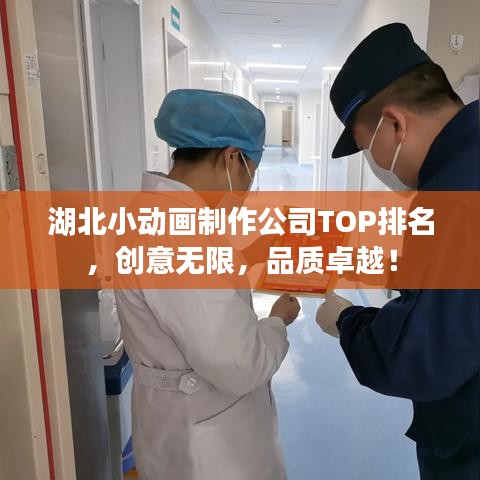 湖北小動(dòng)畫(huà)制作公司TOP排名，創(chuàng)意無(wú)限，品質(zhì)卓越！