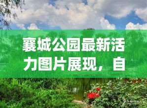 襄城公園最新活力圖片展現(xiàn)，自然盛景下的生機勃勃景象！