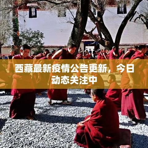 西藏最新疫情公告更新，今日動(dòng)態(tài)關(guān)注中