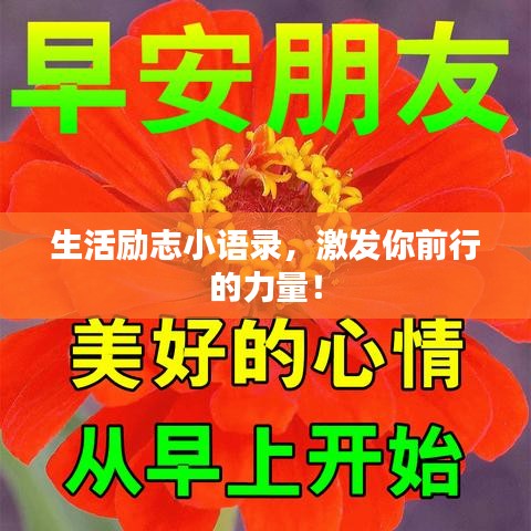 生活勵(lì)志小語錄，激發(fā)你前行的力量！