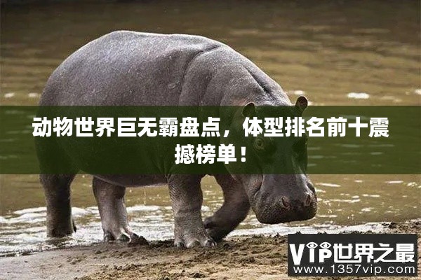 動(dòng)物世界巨無霸盤點(diǎn)，體型排名前十震撼榜單！