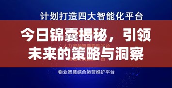 今日錦囊揭秘，引領(lǐng)未來的策略與洞察最新消息
