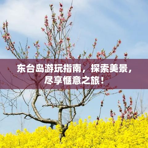 東臺(tái)島游玩指南，探索美景，盡享愜意之旅！