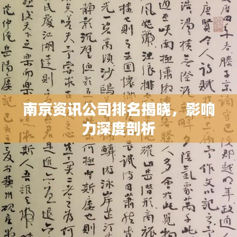 南京資訊公司排名揭曉，影響力深度剖析