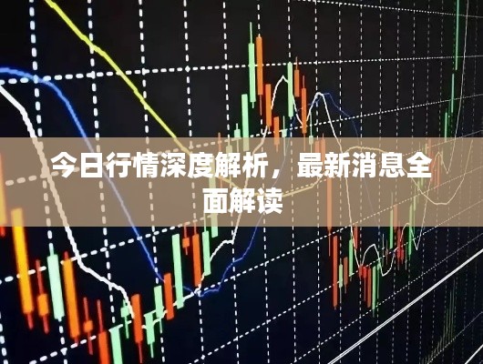 今日行情深度解析，最新消息全面解讀
