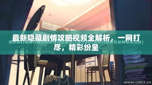 最新隱藏劇情攻略視頻全解析，一網(wǎng)打盡，精彩紛呈
