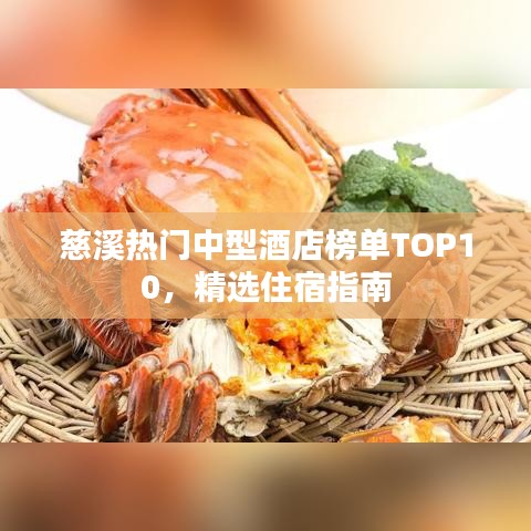 慈溪熱門中型酒店榜單TOP10，精選住宿指南