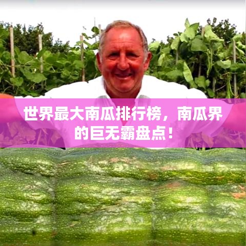 世界最大南瓜排行榜，南瓜界的巨無(wú)霸盤(pán)點(diǎn)！
