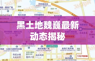 黑土地魏巍最新動態(tài)揭秘