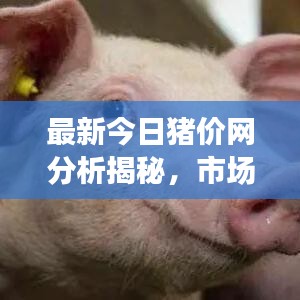 風(fēng)華絕代 第2頁(yè)