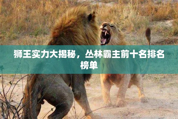 獅王實(shí)力大揭秘，叢林霸主前十名排名榜單