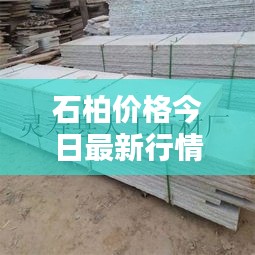 石柏價格今日最新行情動態(tài)