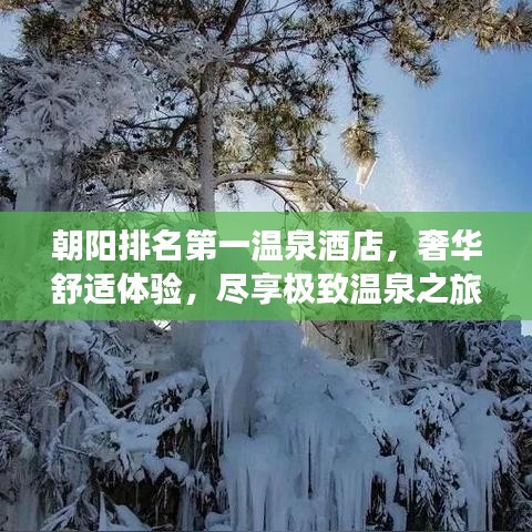 朝陽排名第一溫泉酒店，奢華舒適體驗(yàn)，盡享極致溫泉之旅