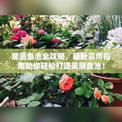 建造魚(yú)池全攻略，最新實(shí)用指南助你輕松打造美麗魚(yú)池！