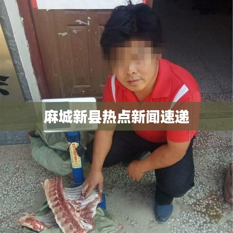 麻城新縣熱點(diǎn)新聞速遞