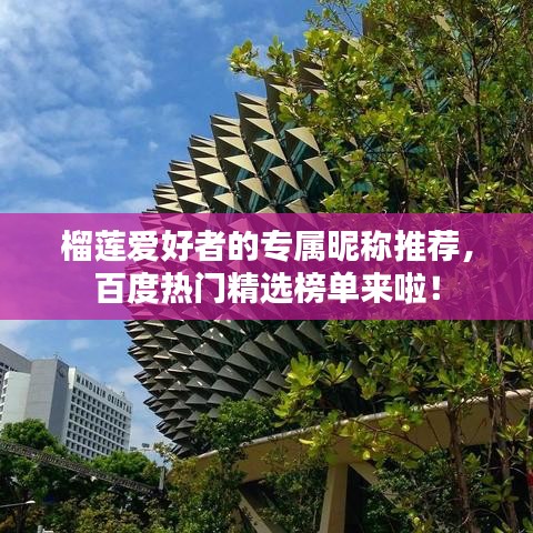 榴蓮愛好者的專屬昵稱推薦，百度熱門精選榜單來啦！