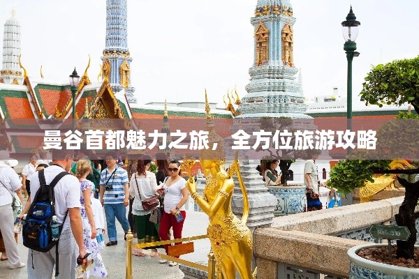 高人雅士 第3頁(yè)