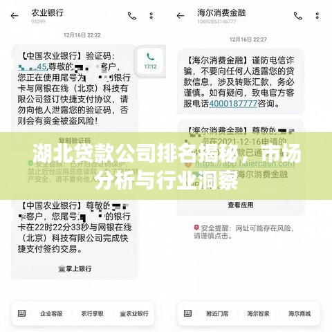 湖北貸款公司排名揭秘，市場(chǎng)分析與行業(yè)洞察