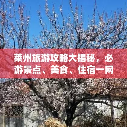 萊州旅游攻略大揭秘，必游景點、美食、住宿一網(wǎng)打盡！