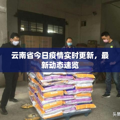 云南省今日疫情實(shí)時(shí)更新，最新動(dòng)態(tài)速覽