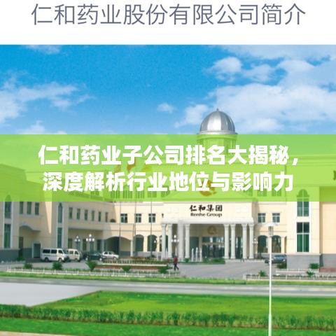 仁和藥業(yè)子公司排名大揭秘，深度解析行業(yè)地位與影響力