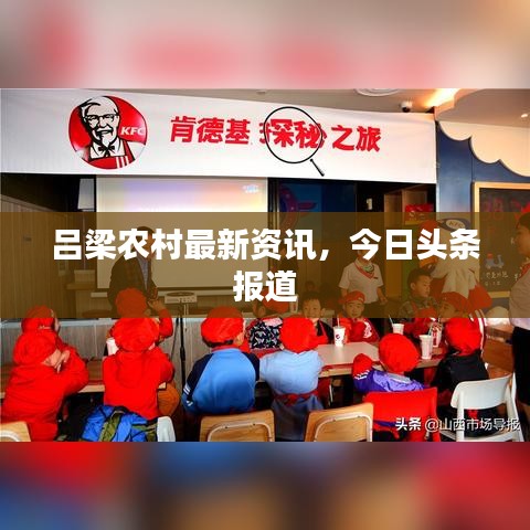 呂梁農(nóng)村最新資訊，今日頭條報道