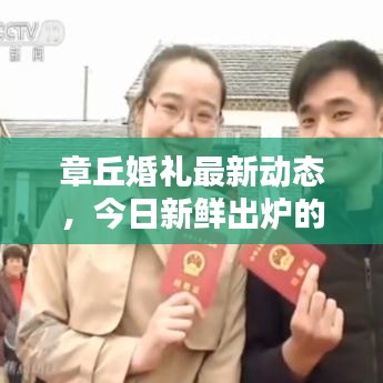 章丘婚禮最新動態(tài)，今日新鮮出爐的婚禮消息匯總