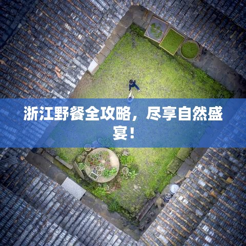 浙江野餐全攻略，盡享自然盛宴！