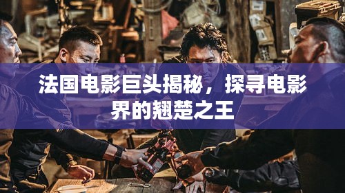 法國電影巨頭揭秘，探尋電影界的翹楚之王