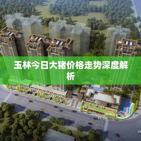 玉林今日大豬價(jià)格走勢(shì)深度解析