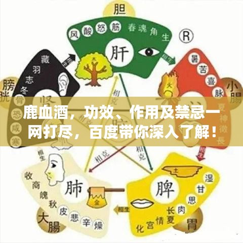 鹿血酒，功效、作用及禁忌一網(wǎng)打盡，百度帶你深入了解！