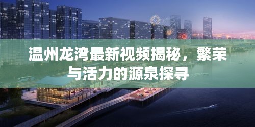 溫州龍灣最新視頻揭秘，繁榮與活力的源泉探尋