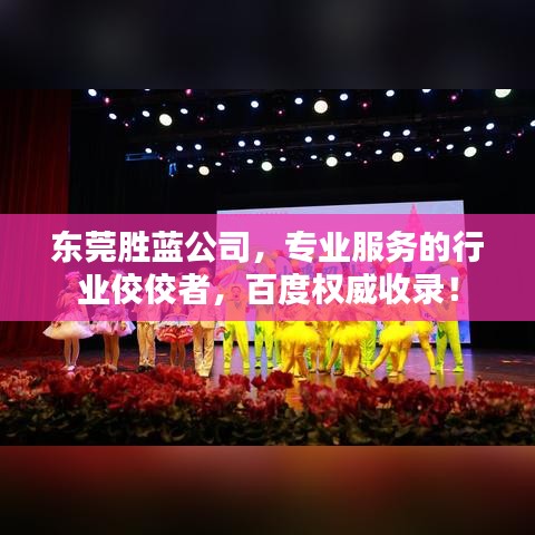 東莞勝藍(lán)公司，專(zhuān)業(yè)服務(wù)的行業(yè)佼佼者，百度權(quán)威收錄！