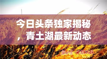 張袂成帷 第2頁(yè)